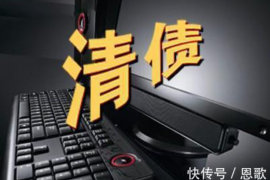 龙沙龙沙的要账公司在催收过程中的策略和技巧有哪些？